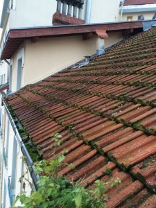 Nettoyage de chéneaux et gouttières à Grenoble